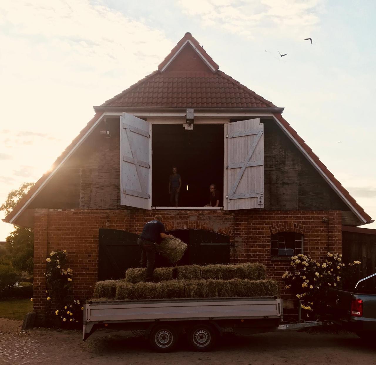 Ferienanlage Gutshaus Gramkow Exterior foto
